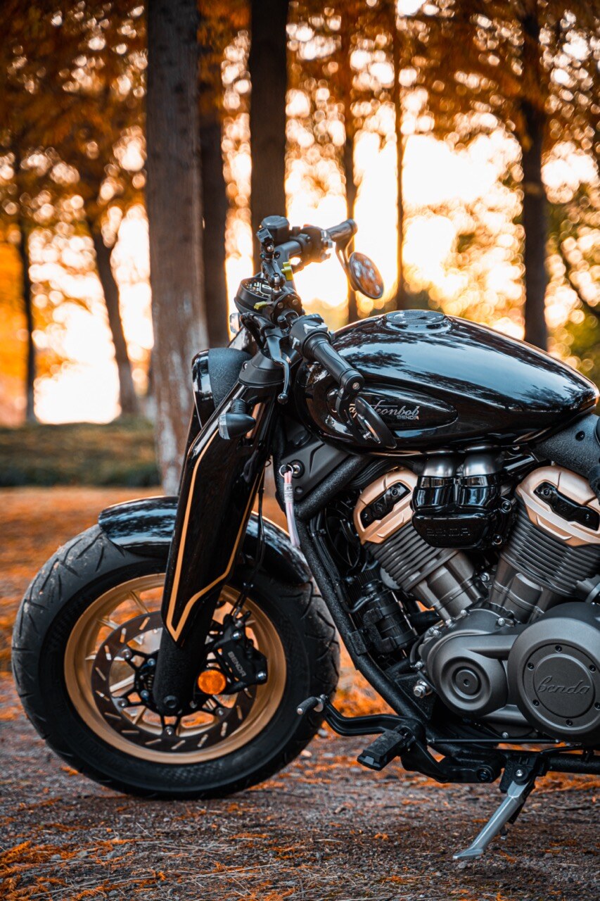 ----_20231216111904-Large