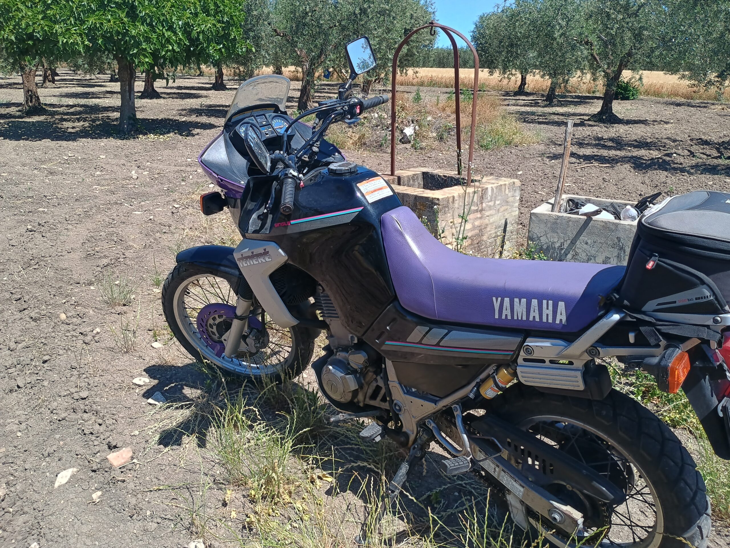 1000190780