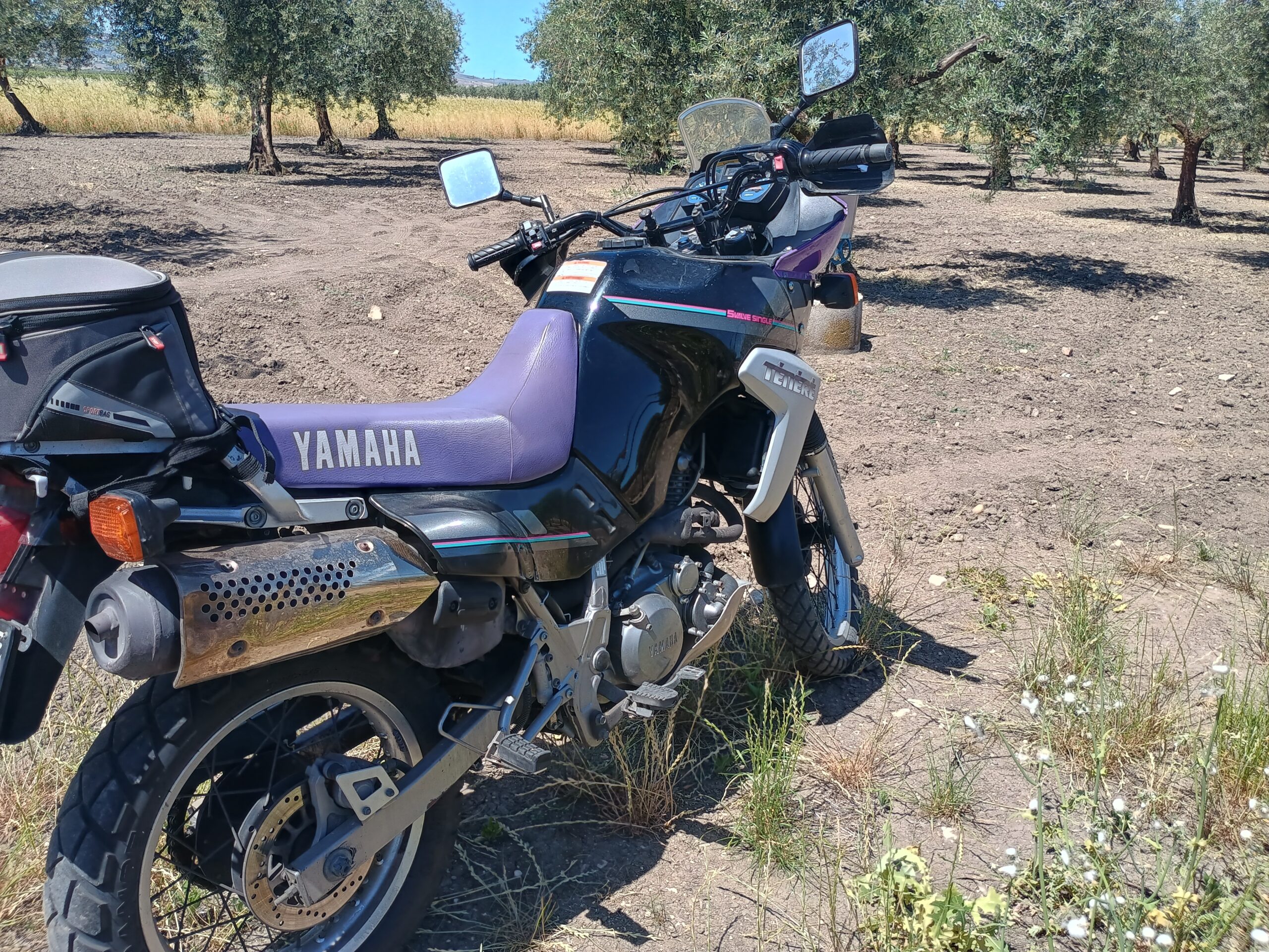 1000190782
